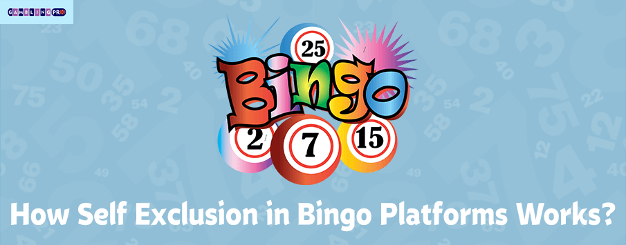 Self Exclusion in Bingo Platforms