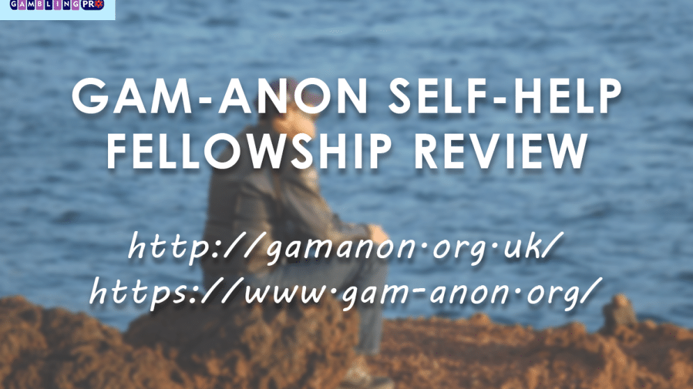 Gam-Anon Self-help Fellowship Review